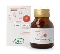 GINKGO BILOBA 100CPR 900MG