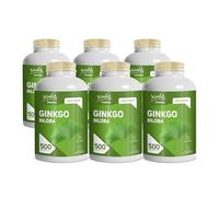 Ginkgo Biloba 500 Compresse da 450 mg - Integratore con Estratto Secco di Foglie di Ginkgo - Supporto Circolazione Sanguigna e Microcircolo - Formato Maxi Lunga Durata