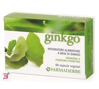 GINKGO BILOBA 60 CAPSULE