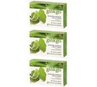 Ginkgo Biloba 60 Capsule 3x60 pz Capsule