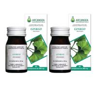 Ginkgo Biloba 60 Capsule 500 Mg 2x60 pz Capsule