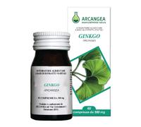 Arcangea Ginkgo Biloba 60 Capsule 500 Mg