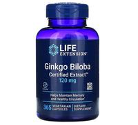 Ginkgo Biloba, Estratto certificato, 120mg - 365 vcaps