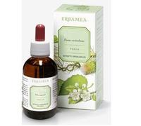 GINKGO BILOBA FOGLIE EI 50ML