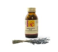 GINKGO BILOBA PLUS 100CPS VEG