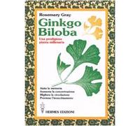 Ginkgo biloba. Una prodigiosa pianta millenaria