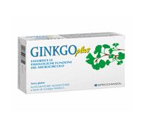 Ginkgo Plus