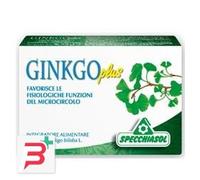 GINKGO PLUS 30 CAPSULE