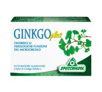 GINKGO Plus 30 Cps SPECCH.