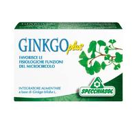 Ginkgo Plus 30 Capsule 4x30 St