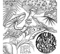 Ginn, Greg - Gumbo & Holy Water