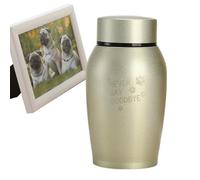 Ginnastica funebre per animali domestici | Piccola ginnastica in memoria in acciaio inossidabile per cenere | Mini portafrassino come memoriale per animali domestici o persone, memoria