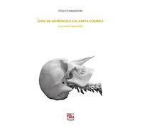 Gino De Dominicis e la calamita cosmica. Una storia immobile