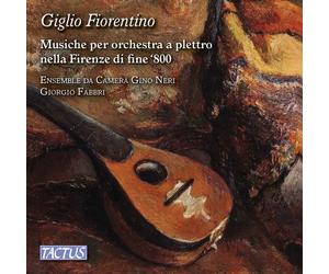 Gino Ensemble Neri / Fabbri Giorgio - Giglio Fiorentino: Musiche Per Orchestr...
