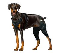 Ginocchiera per cane - Ginocchiere per cane con gamba posteriore, manicotto protettivo per le ferite della gamba posteriore, cura della mobilità delle ferite da usare, prevenzione delle leccate
