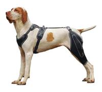 Ginocchiera per cani per supporto del LCA strappato con stecca in metallo, design incernierato, recupero da lesioni ai legamenti crociati, tutore per la schiena per osteoartrite, riabilitazione