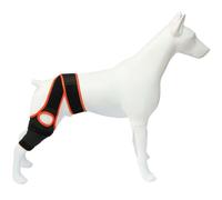 Ginocchiera per cani, supporto per cani grandi e piccoli affetti da lesioni del legamento crociato anteriore, legamento crociato anteriore o posteriore, lussazione della rotula o artrosi delle zampe p