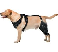 Ginocchiera per zampe posteriori, tutore per gamba posteriore del cane per supporto rotula lussante, mantiene le articolazioni calde e stabili, supporto per legamenti crociati per cani feriti