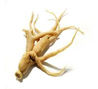 Ginseng Radice Intera Da 100 G