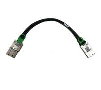 Gintai - Cavo Esterno di Ricambio per MOLEX 74546-0840 PCIe x8-x8 0,5 m 28AWG Ejectors 10GB