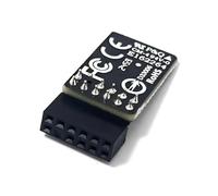 Gintai Modulo TPM 2.0 LPC 12pin per Gigabyte B550