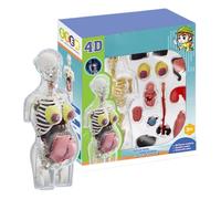 Giocattoli Anatomia Per Bambini | Aiuti Di Apprendimento Gravidanza | Realistiche Rimovibili, Figura Di Anatomia Mobile Con Osso, STEM Giocattolo Educativo Per Studenti Ragazze Lezioni Casa