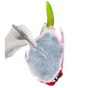 Giocattoli Antistress Per Adulti | Simulazione Morbida Frutto del Drago Modello di Design,Giocattolo Schiaccia Brufoli - per Compleanni Feste Casa Viaggio Adulti Bambini