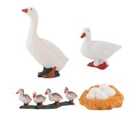 Giocattoli del Ciclo degli Animali Decorazioni Educative Scientifiche