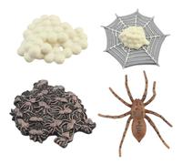 Giocattoli del ciclo di vita per bambini, Giocattoli educativi per bambini con ciclo di vita completo del ragno, L'apprendimento della safariologia sviluppa l'immaginazione per i più piccoli e gli am