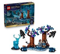 GIOCATTOLI HARRY POTTER FORESTA PROIBITA EXPECTO PATRONUM MODELLO CON 2 FIGURE