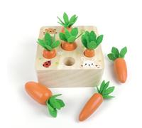 Giocattoli in legno a partire da 1 anno, giocattolo motorio per bambini di 12 mesi, ragazzi e ragazze, gioco di smistamento Montessori, puzzle in legno, raccolta di carote, giocattolo educativo per il