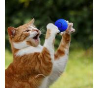 Giocattoli interattivi intelligenti per gatti con palline rotanti per gatti