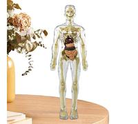 Giocattoli Interattivi Umano Corpo - FigureHuman Body Science Toys | Giocattolo Di Montaggio Del Corpo Umano, Giocattolo Magnetico Del Corpo Umano, Giocattolo Del Corpo Umano STEM, Kit Di Giocattoli