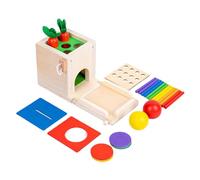 Giocattoli Montessori in Legno, Kit di Giocattoli Montessori 4 in 1 Include Gioco di Lancio di Bastoncini, Raccolta di Carote, Banca di Monete, Caduta di Palline, per Ragazzi e Ragazze dai 12 Mesi