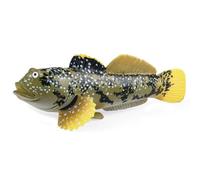 Giocattoli per animali marini 4.3x1.4x2.2 Mudskipper realistici Figure animali per il progetto scientifico e topper per cake, primi giocattoli per le creature marine per bambini figure per bambini pi