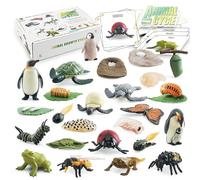 Giocattoli per l apprendimento e educazione al ciclo vitale Montessori Kit di modelli artigianali figure animali la scienza della scuola materna Ideali sviluppare curiosità le conoscenze sul mondo nat
