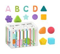 Giocattoli Per Ordinare I Vash-sensory Bid-sensory Cestino Con Palline E , Primi Regali Di Compleanno Pedagogici, Giocattolo Del Contenitore Sensoriale Per Bambini -sorter Del Primo Sorte