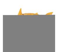 Giocattoli Per Squali Per - Realistici Impermeabili, Giocattoli Per Squali Telecomandati Per , Per Ragazzi E Ragazze Compleanno Natale Capodanno Piscina Sulla Spiaggia Bagno Int