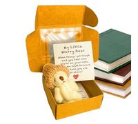 Giocattoli tascabili in scatola di animali in scatola di orso, biglietto ispiratrice per i | Regalo di Natale per il bambino brillante, regalo di San, set regalo animale con Botscha