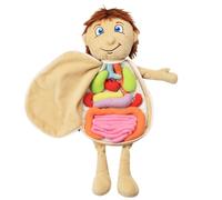 Giocattolo anatomico del corpo umano | Montessori modello di anatomia per bambini | 3D peluche Organ Anatomia Bambola | Strumento didattico per la consapevolezza dell'organo del corpo | Giocattoli