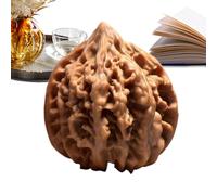 Giocattolo antistress con noci Fidget manuale per rilassamento