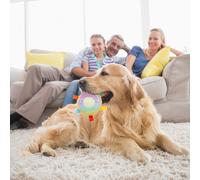 Giocattolo Che Insegue Il Cane Masticare Per Cani Giocattoli Morso