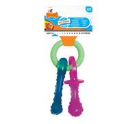 Giocattolo da mordere per cani Nylabone Portachiavi Carne Formaggio Cuccioli