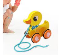 Giocattolo da tirare con la corda Giocattolo push-pull per bambini piccoli,