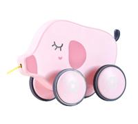 Giocattolo da tirare,Giocattoli da tirare per 1 anno - Giocattoli con cordino, giocattolo push pull a forma di animale | Giocattolo educativo per camminare ed equilibrare, giocattolo interattivo da tr