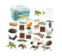 Giocattolo del degli animali Giocattoli Montessori Modello di biologia Set del