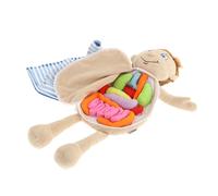 Giocattolo di anatomia del corpo umano Giocattoli di anatomia per bambini di