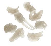 Giocattolo Di Osso Dinosauro Modelli Crani Giocattoli Realistici