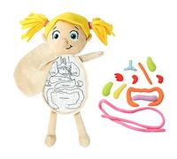 Giocattolo Di Peluche Organo 3D | Modello Di Giocattolo Puzzle Squeeze Toy Doll Parts Game Educational