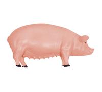 Giocattolo Didattico Per L'apprendimento Della Biologia Con Modello